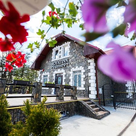 Royal Inn Busteni-Adults Only Ngoại thất bức ảnh