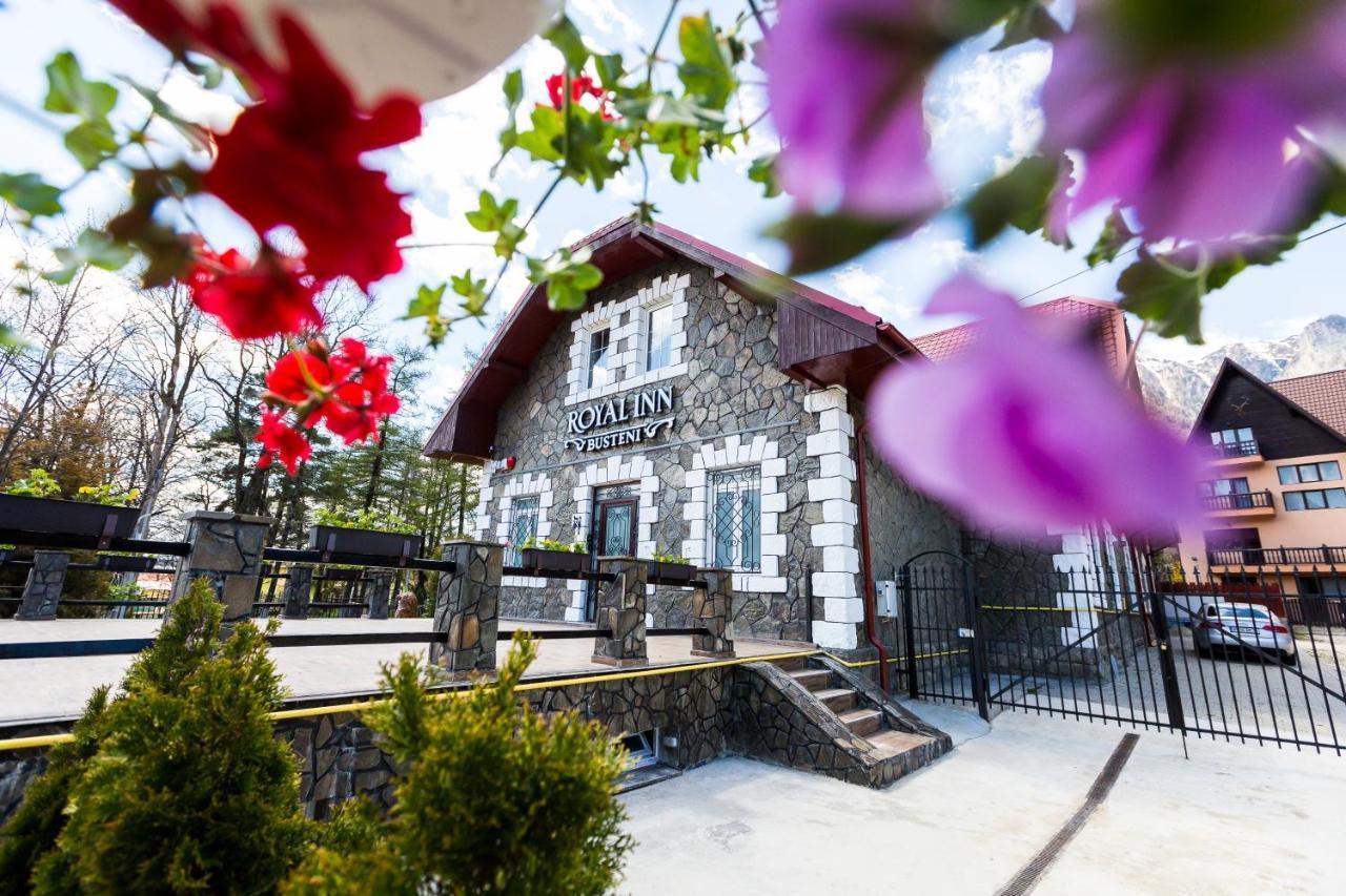 Royal Inn Busteni-Adults Only Ngoại thất bức ảnh